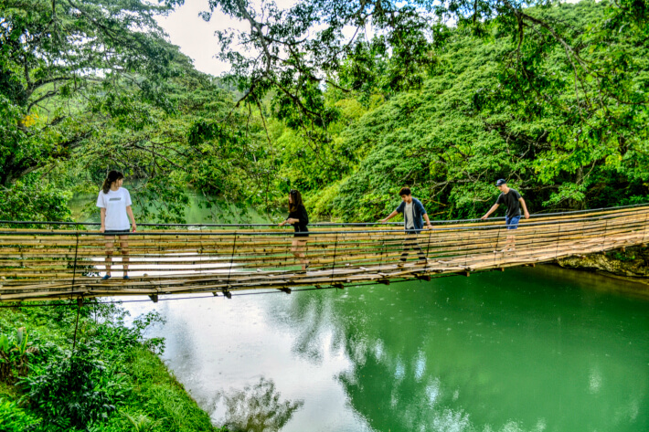 hanging bridge