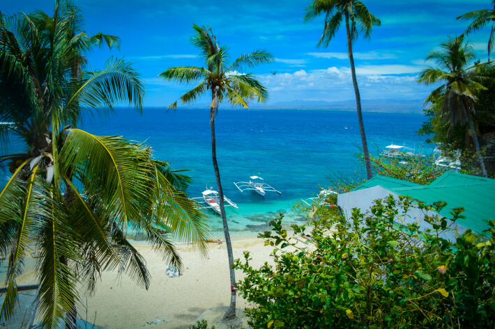 Apo Island 