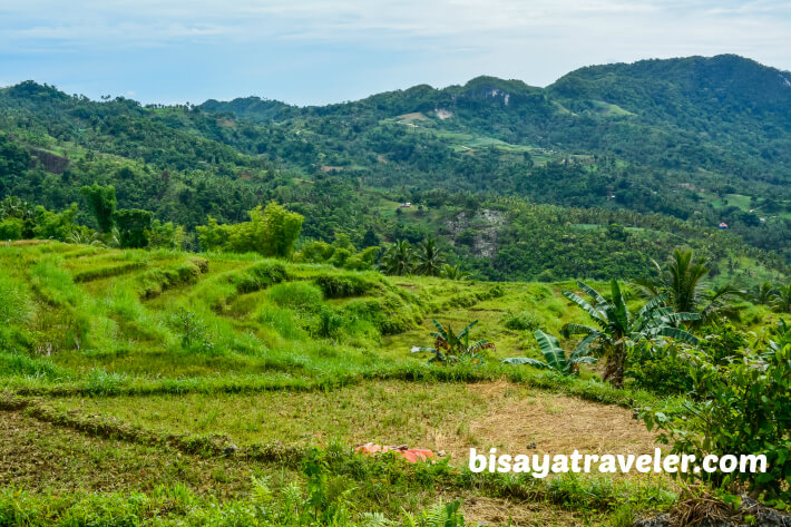 A Solo Visit To Argao’s Gorgeous Rice Terraces