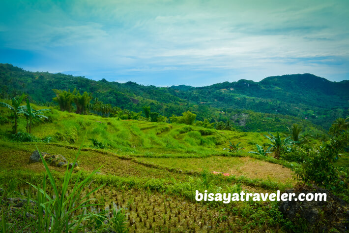 A Solo Visit To Argao’s Gorgeous Rice Terraces