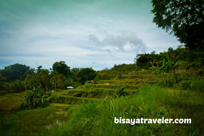 A Solo Visit To Argao’s Gorgeous Rice Terraces