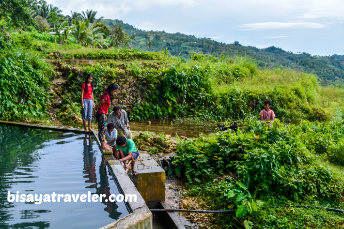 A Solo Visit To Argao’s Gorgeous Rice Terraces