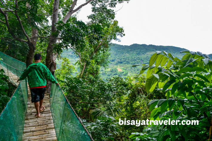 A Solo Visit To Argao’s Gorgeous Rice Terraces