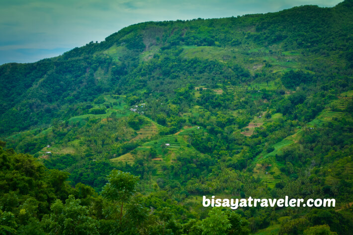 A Solo Visit To Argao’s Gorgeous Rice Terraces