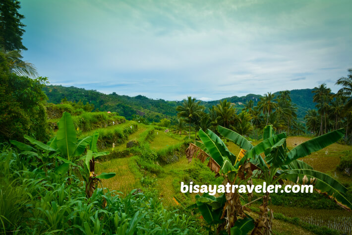 A Solo Visit To Argao’s Gorgeous Rice Terraces