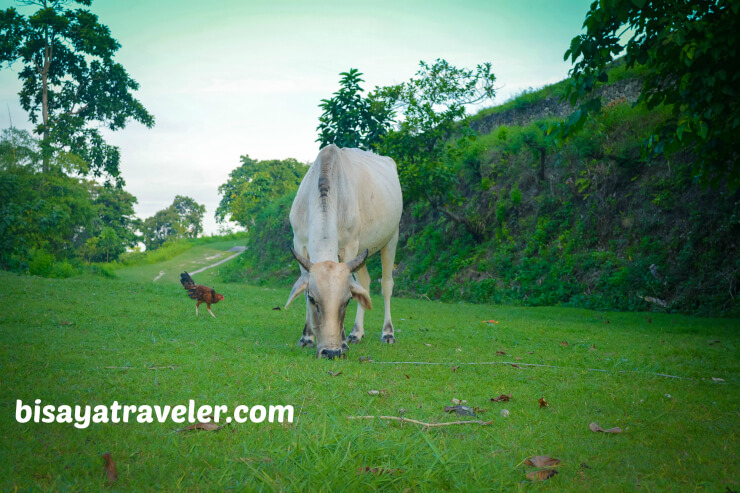 Celestial Garden: More Than Just A Holy Week Destination In Cebu