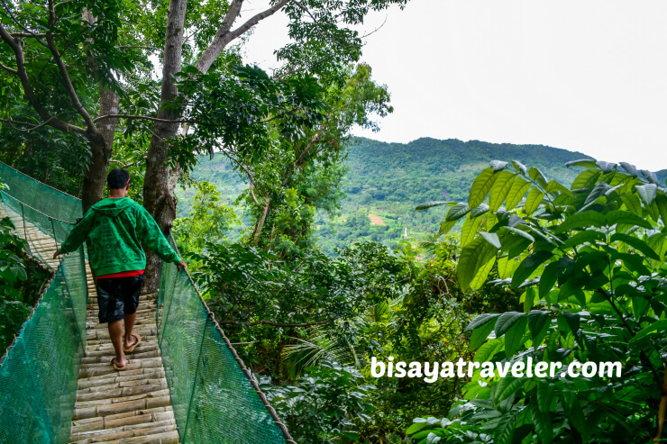 Coal Mountain Resort: A Scenic Retreat Tucked Away In Argao’s Mountains