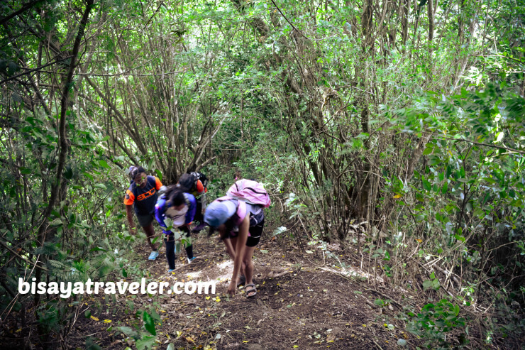 Mount Babag: A Fun-filled Escapade With A Bunch Of New Friends