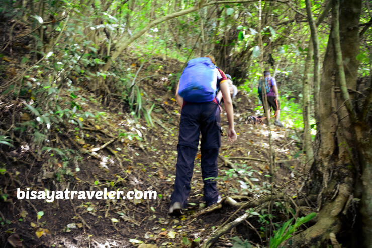 Mount Babag: A Fun-filled Escapade With A Bunch Of New Friends