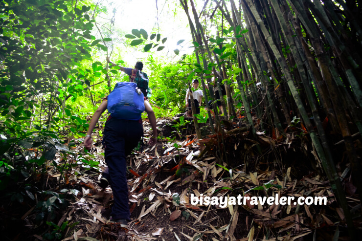 Mount Babag: A Fun-filled Escapade With A Bunch Of New Friends