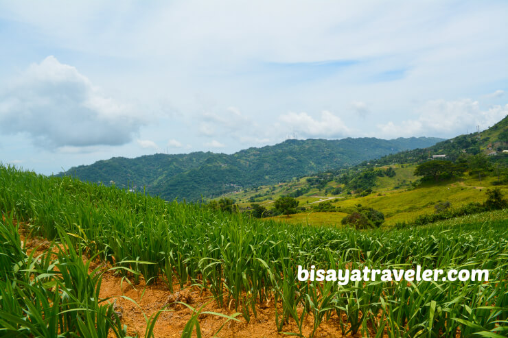 Mount Kan-irag: One Of The Most Scenic Lookouts In Cebu