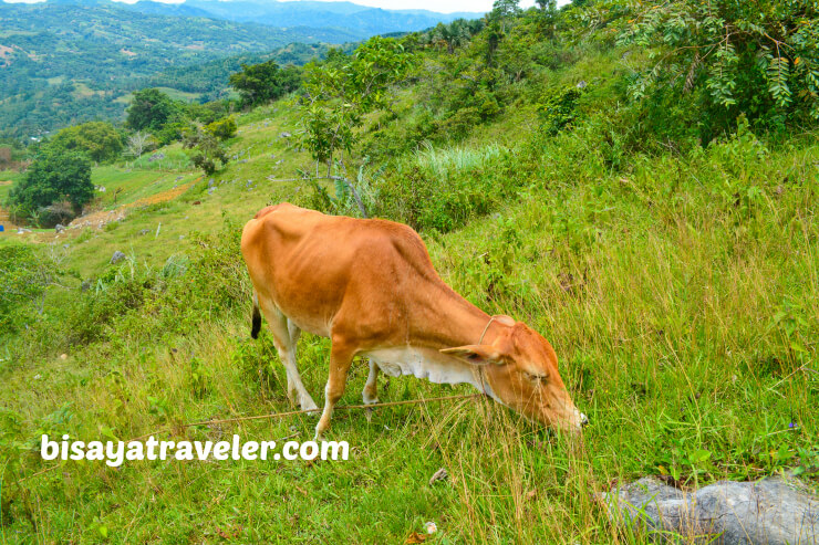 Mount Kan-irag: One Of The Most Scenic Lookouts In Cebu