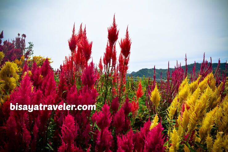 Mount Kan-irag: One Of The Most Scenic Lookouts In Cebu