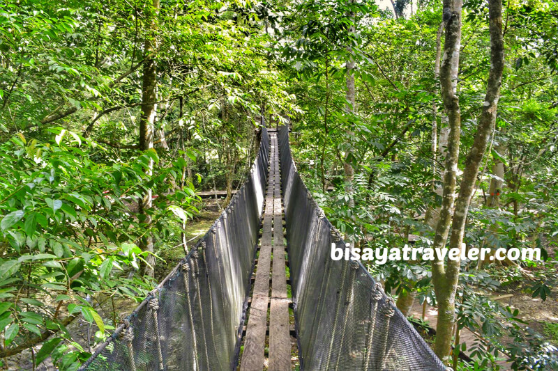 The Breathtaking Bike Zipline At The Chocolate Hills Adventure Park