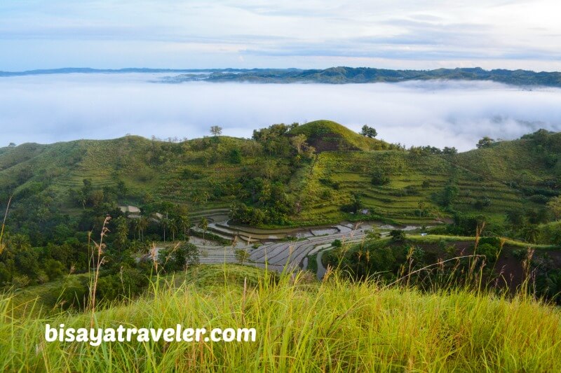 An Encounter With The Spellbinding Sea Of Clouds In Bohol