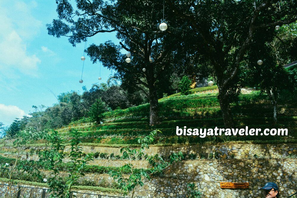 Terrazas De Flores Botanical Garden: Cebu’s Breezy Floral Nirvana