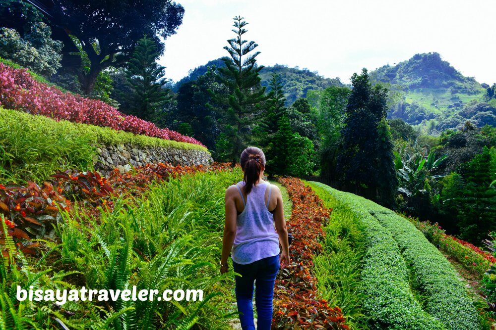 Terrazas De Flores Botanical Garden: Cebu’s Breezy Floral Nirvana