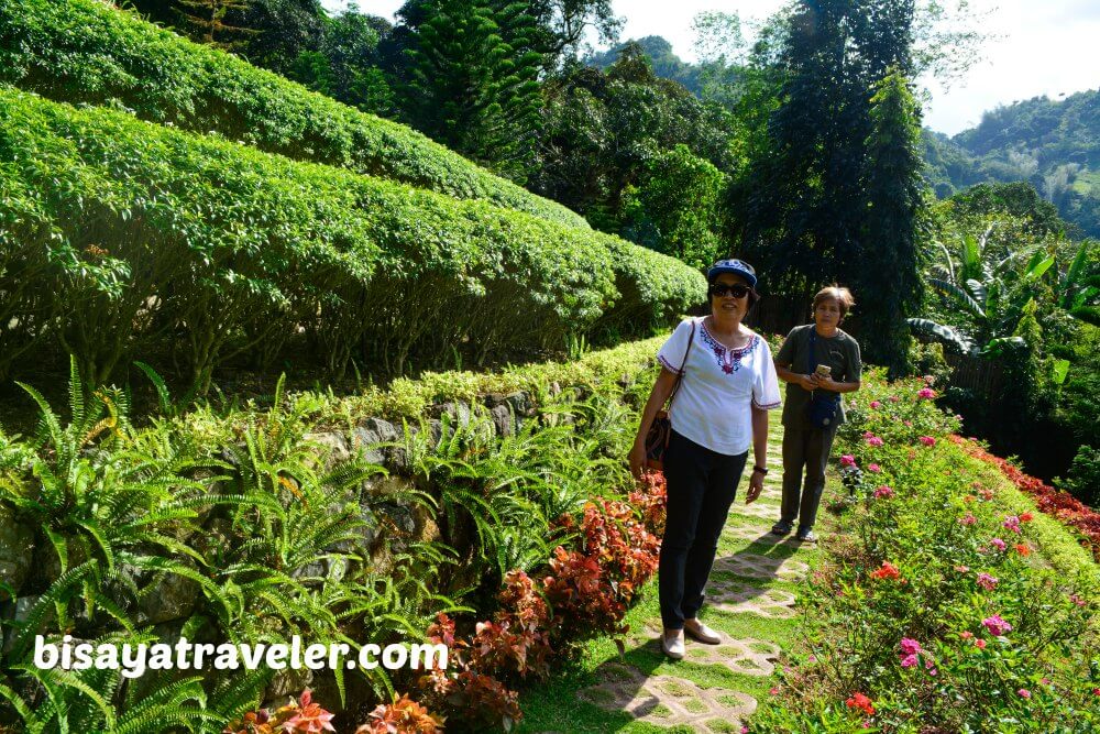 Terrazas De Flores Botanical Garden Cebu S Breezy Floral