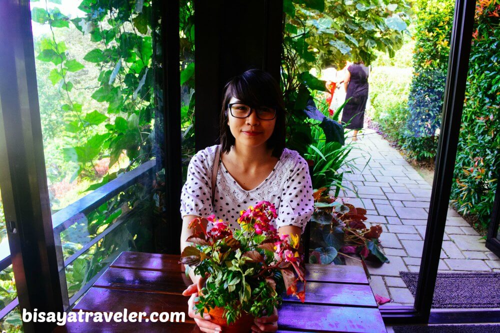 Terrazas De Flores Botanical Garden: Cebu’s Breezy Floral Nirvana
