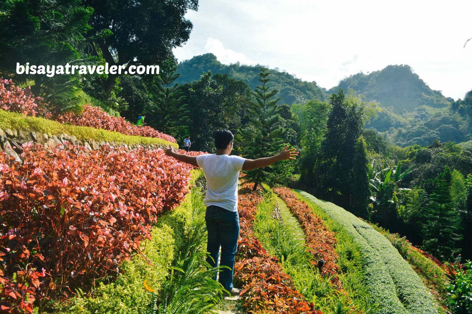 Terrazas De Flores Botanical Garden: Cebu’s Breezy Floral Nirvana