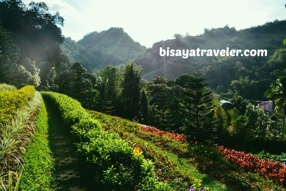 Terrazas De Flores Botanical Garden: Cebu’s Breezy Floral Nirvana