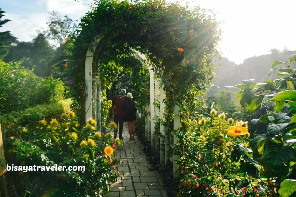 Terrazas De Flores Botanical Garden: Cebu’s Breezy Floral Nirvana