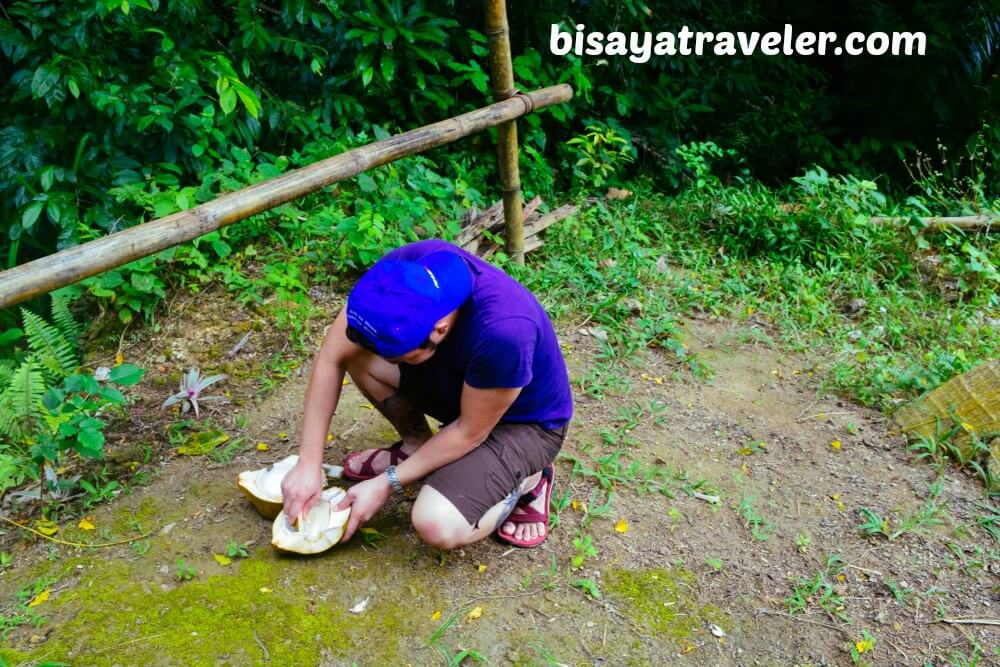 Taking In The Scenery Of The Verdant Rice Paddies In Boljoon