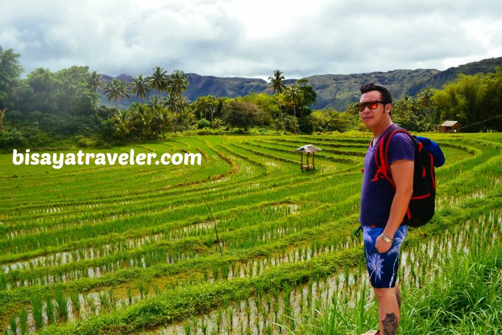 Taking In The Scenery Of The Verdant Rice Paddies In Boljoon