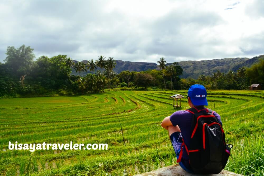 Taking In The Scenery Of The Verdant Rice Paddies In Boljoon