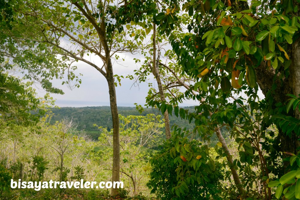 Himontagon Hills: A Serene And Picture-perfect Local Secret In Loay, Bohol