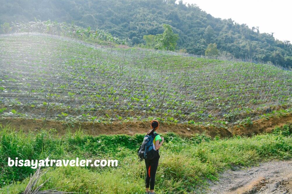 Malubog Lake And Malubog Falls: Exploring Toledo’s Wondrous Treasures