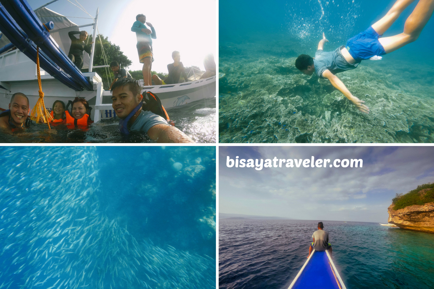 Pescador Island and Sardines Run: Cebu's Underwater Spectacles