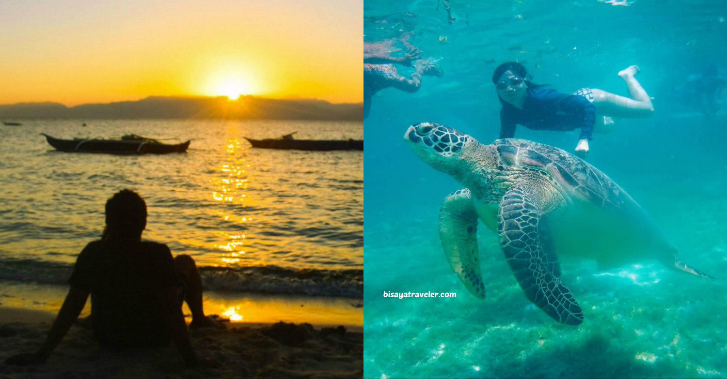 11 Insanely Fun Things To Do In Moalboal, Cebu