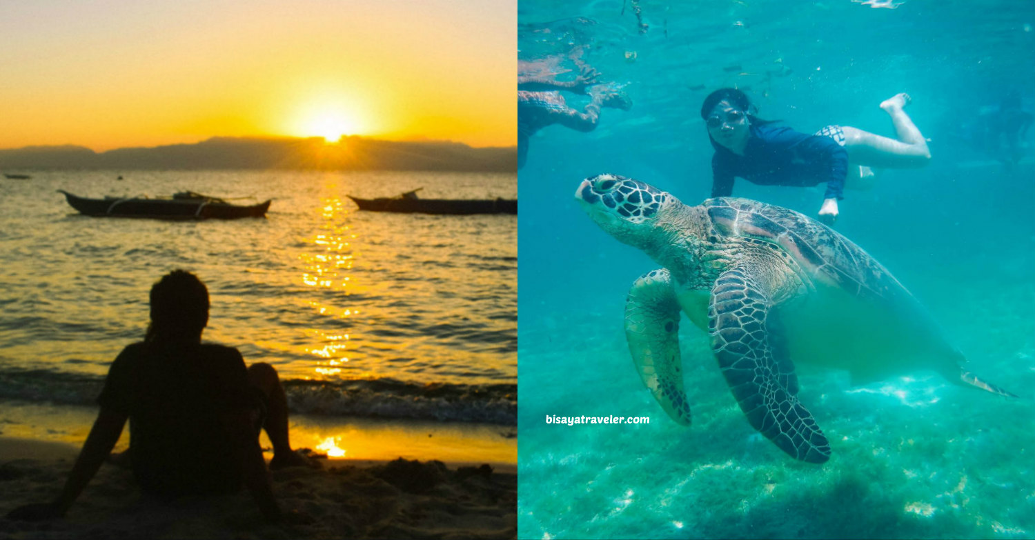 11 Insanely Fun Things To Do In Moalboal Cebu The Bisaya Traveler