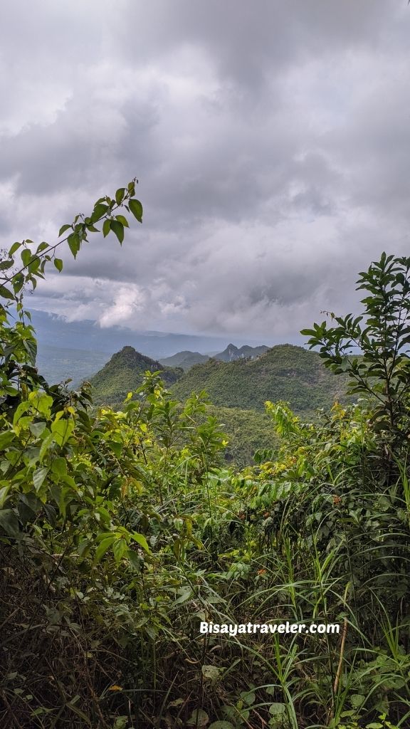 The Search For Pangpang In Barili