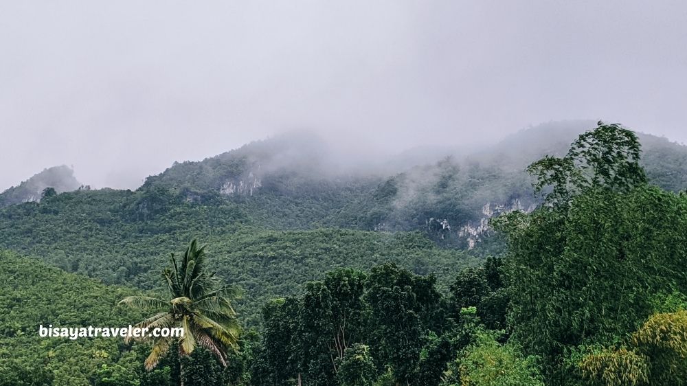 The Search For Pangpang In Barili