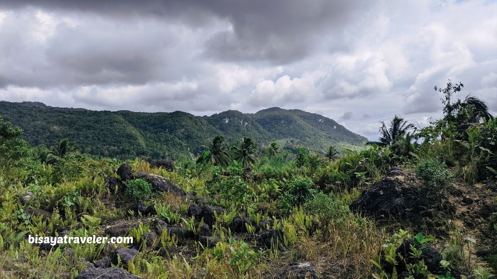 The Search For Pangpang In Barili