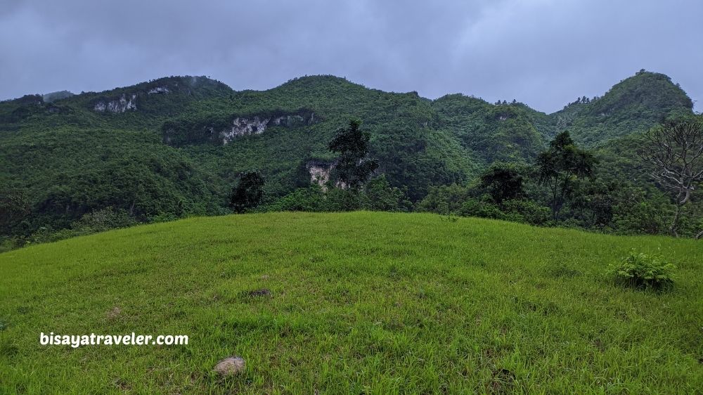 The Search For Pangpang In Barili