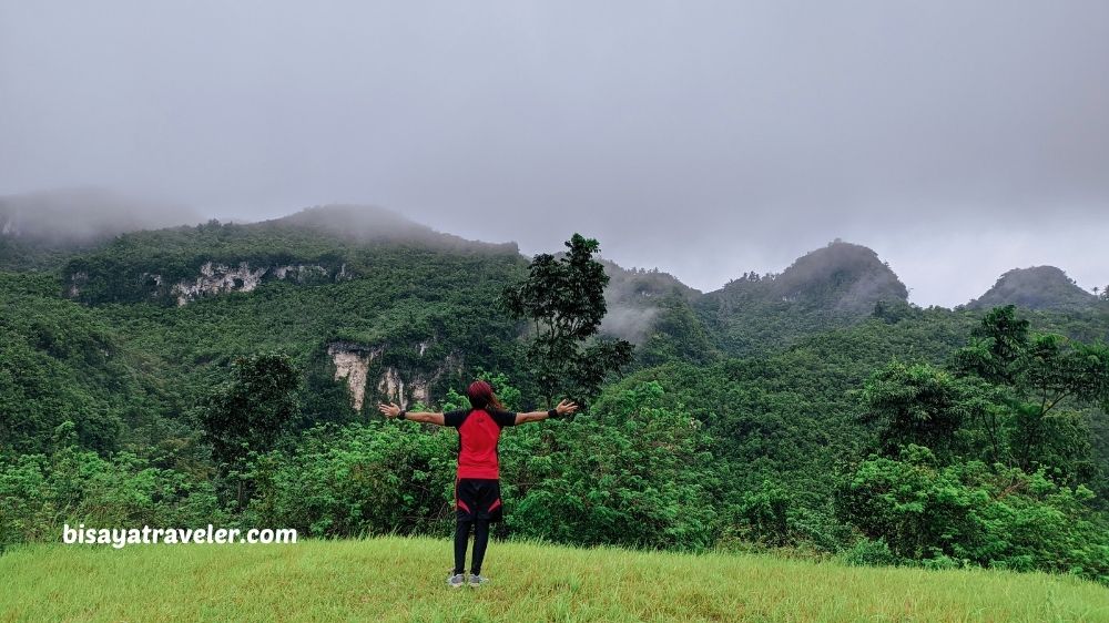 The Search For Pangpang In Barili