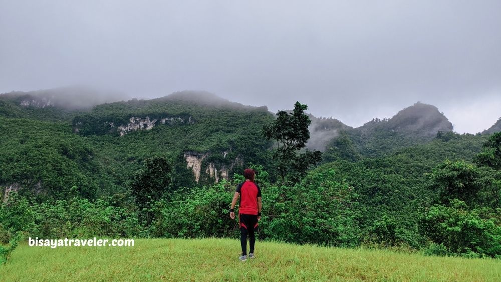 The Search For Pangpang In Barili