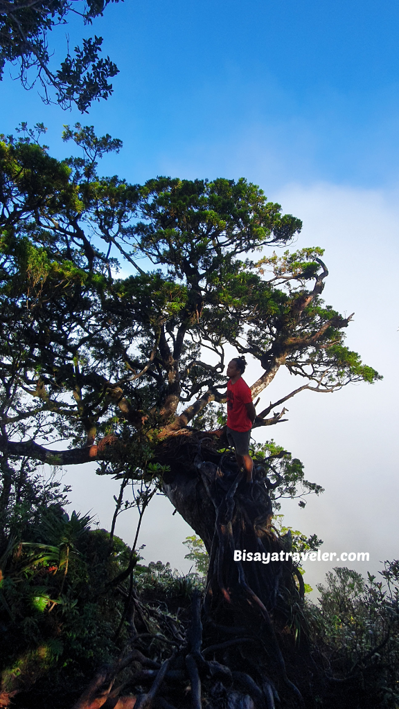 Mount Talinis: The Fearless Apolong-Apolong Adventure