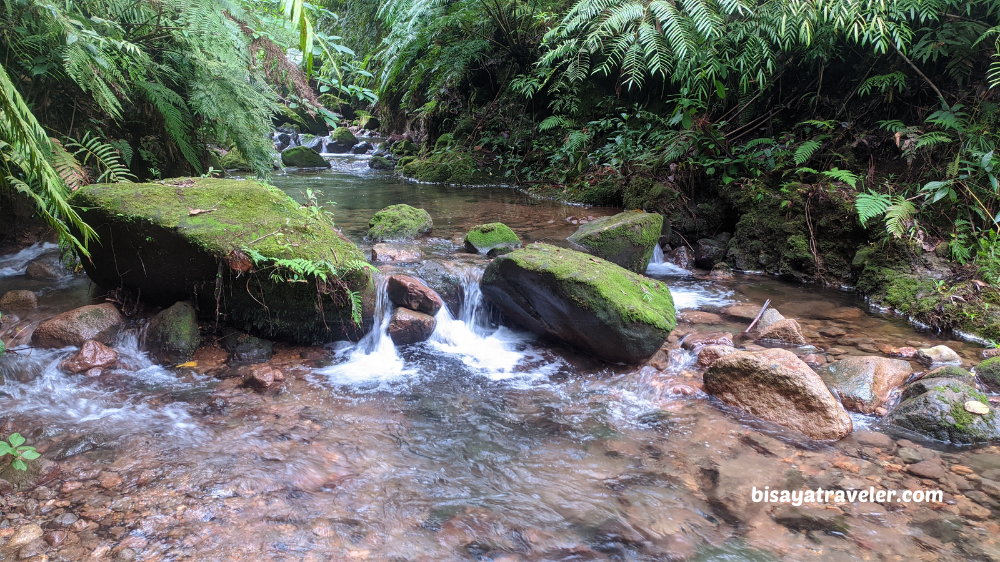 Mount Talinis: The Fearless Apolong-Apolong Adventure