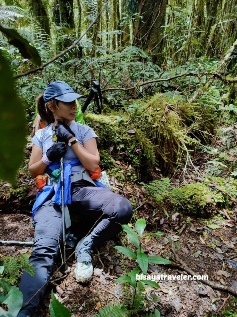 Mount Apo Diaries: The Sublime Journey To The Top