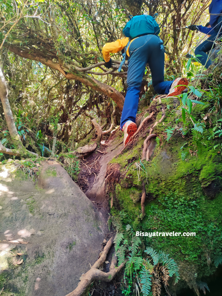 Mount Tabayoc: An Adventure Above The Clouds