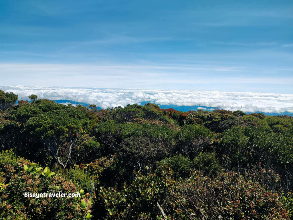 Mount Tabayoc: An Adventure Above The Clouds