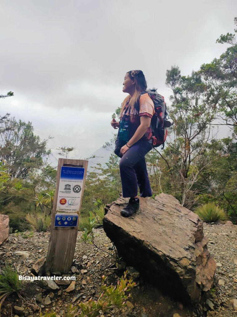 Lantawan 1 in Mount Hamiguitan. 