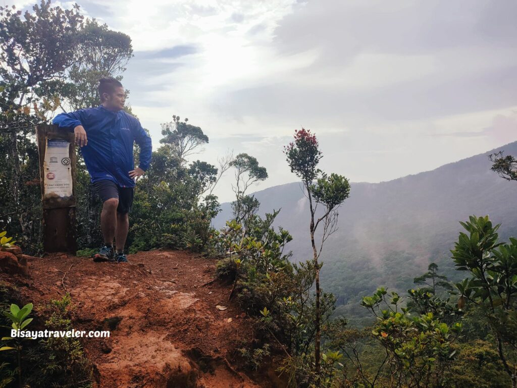 Mount Hamiguitan: A Journey To A Magical World