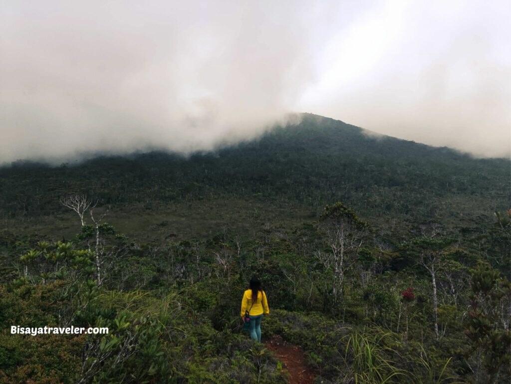 Mount Hamiguitan: A Journey To A Magical World