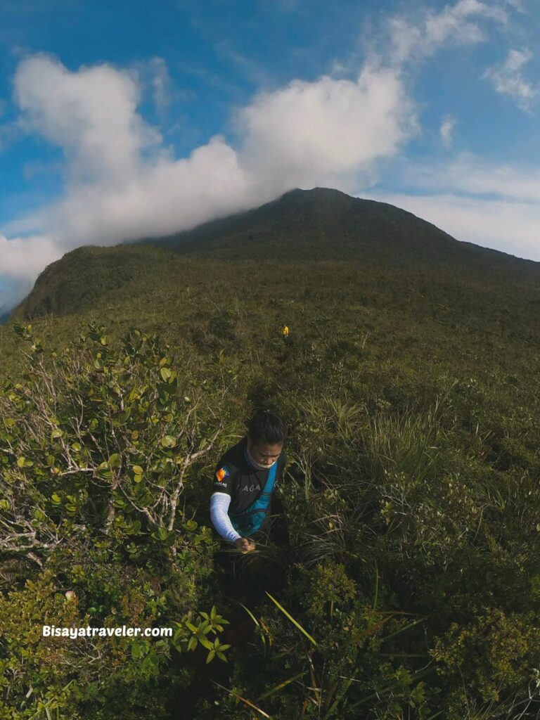 Mount Hamiguitan: A Journey To A Magical World