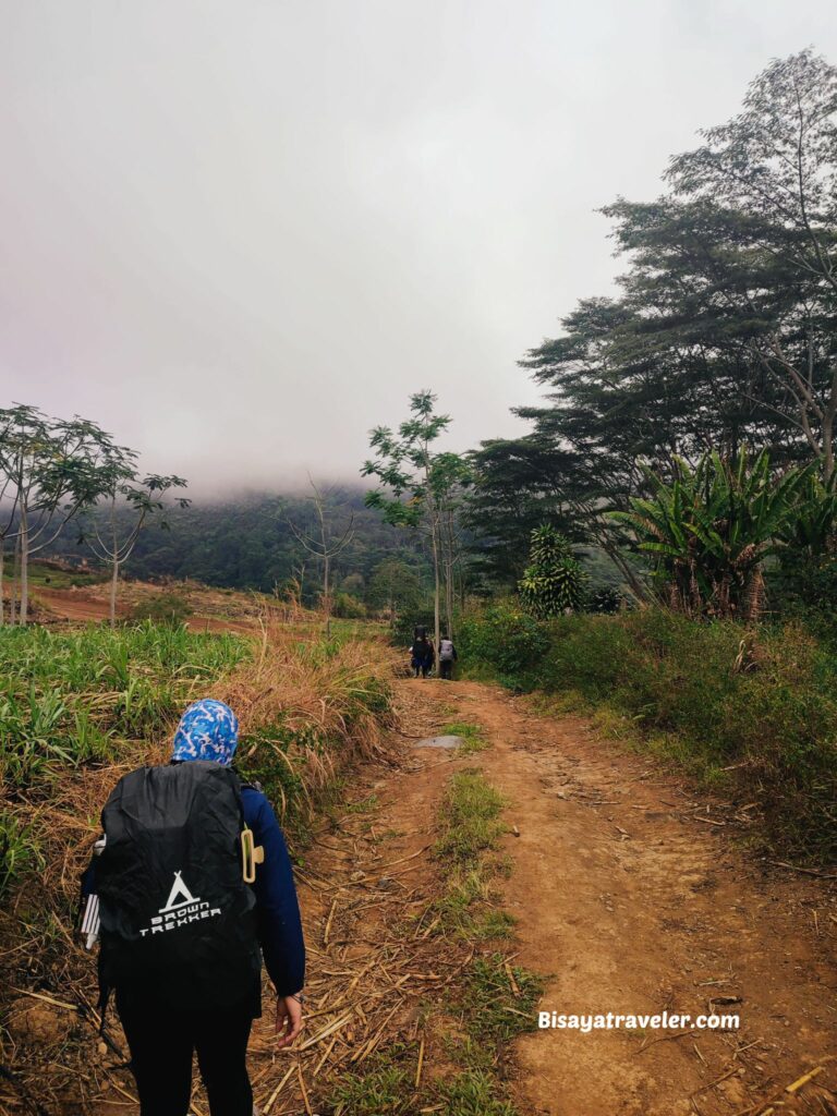 Mount Kalatungan: An Unforgettable Journey To The Chief Mountain